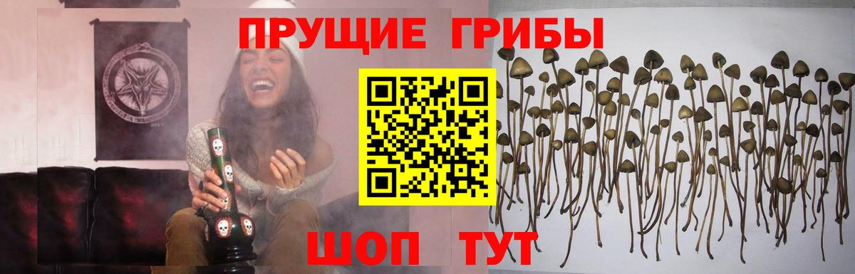 Псилоцибиновые грибы Psilocybine cubensis  Вход с VPN  Галлюциногенные грибы GOLDEN TEACHER  Южно-Сахалинск 