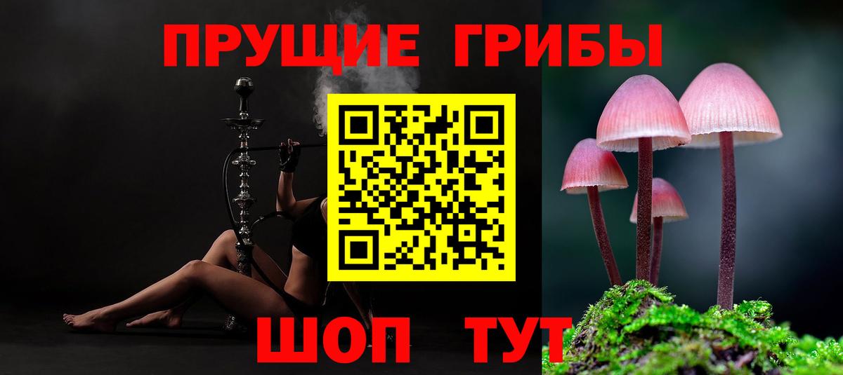Псилоцибиновые грибы ЛСД Южно-Сахалинск